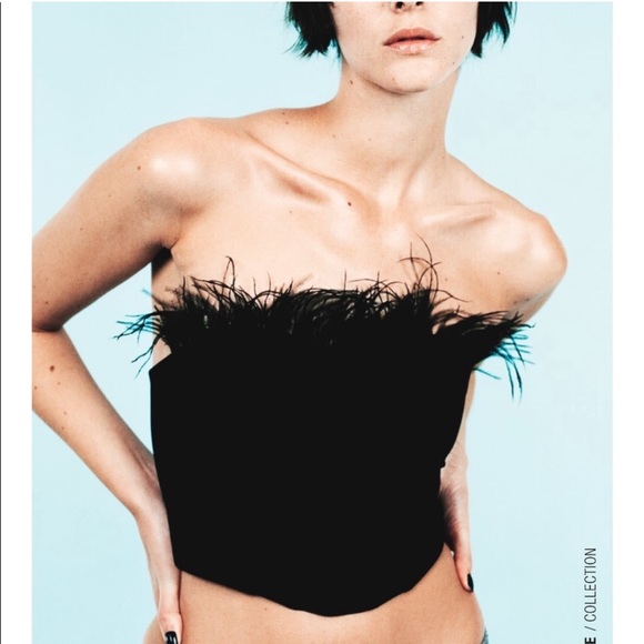 Zara Tops - ZARA Feather Corset Top